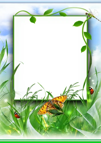 Летняя, зелёная фоторамка с бабочкой